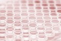 uncoated ELISA 
