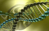 Genomic DNA