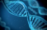 Molecular biology for diagnostic