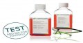 Advanced media : Less serum - Same Quality !