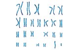 Classical cytogenetics