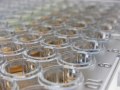 Enzyme Immunoassays