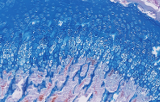 Histological special stains