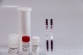Lateral flow assay (LFA)